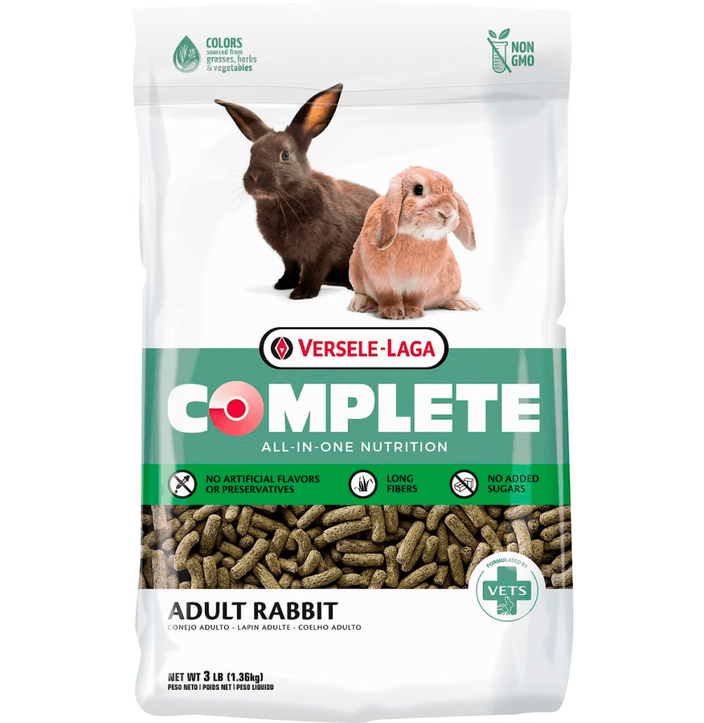 Rabbits as Pets: What to Expect and How to Care for Them - Everbreed
