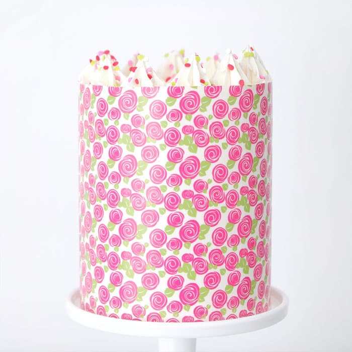 Evil Cake Genius Chocolate Transfer Sheets