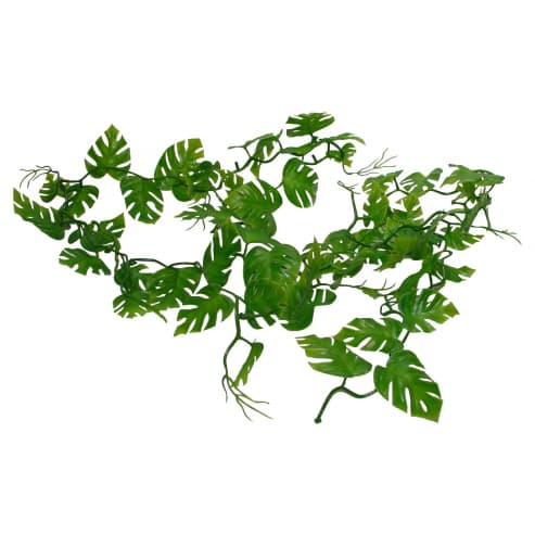 Lucky Reptile Jungle Vine :: Farmapython.cz