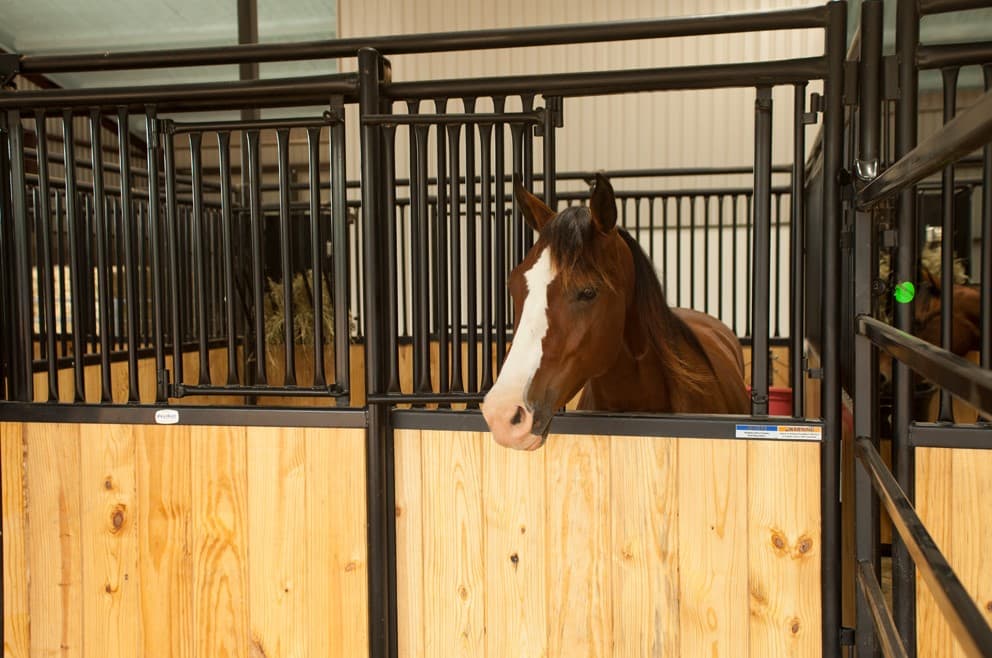 Priefert Premier Stall Panels and Accessories - Fence Supply Inc.