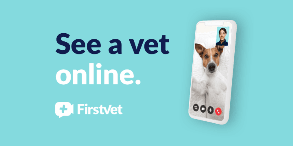Your online vet | FirstVet