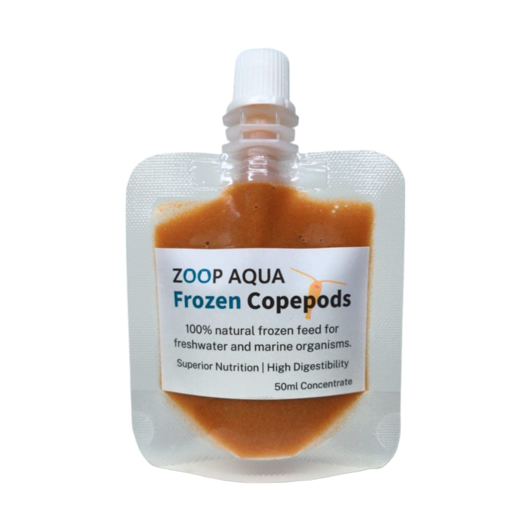 Frozen Copepod - FishPlay