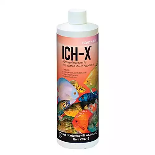 Identify and Treat Freshwater Ich (White Spot Disease) Save Your Fish ...