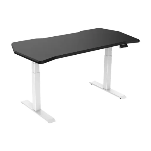 Premium Gaming Standing Desk E7 | FLEXISPOT