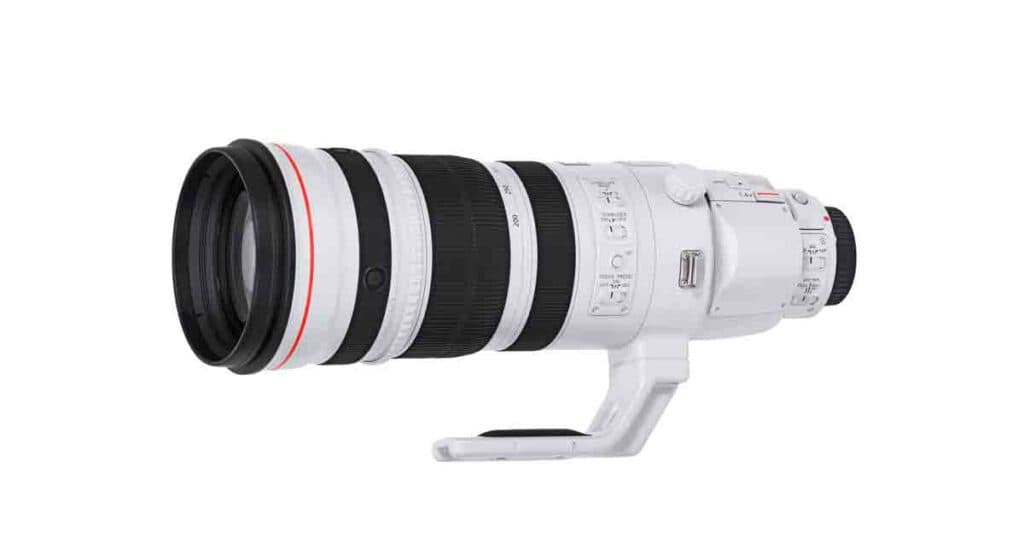 Canon EF 200-400mm F4L IS USM Extender 1.4x - Fotoinfo Magazine