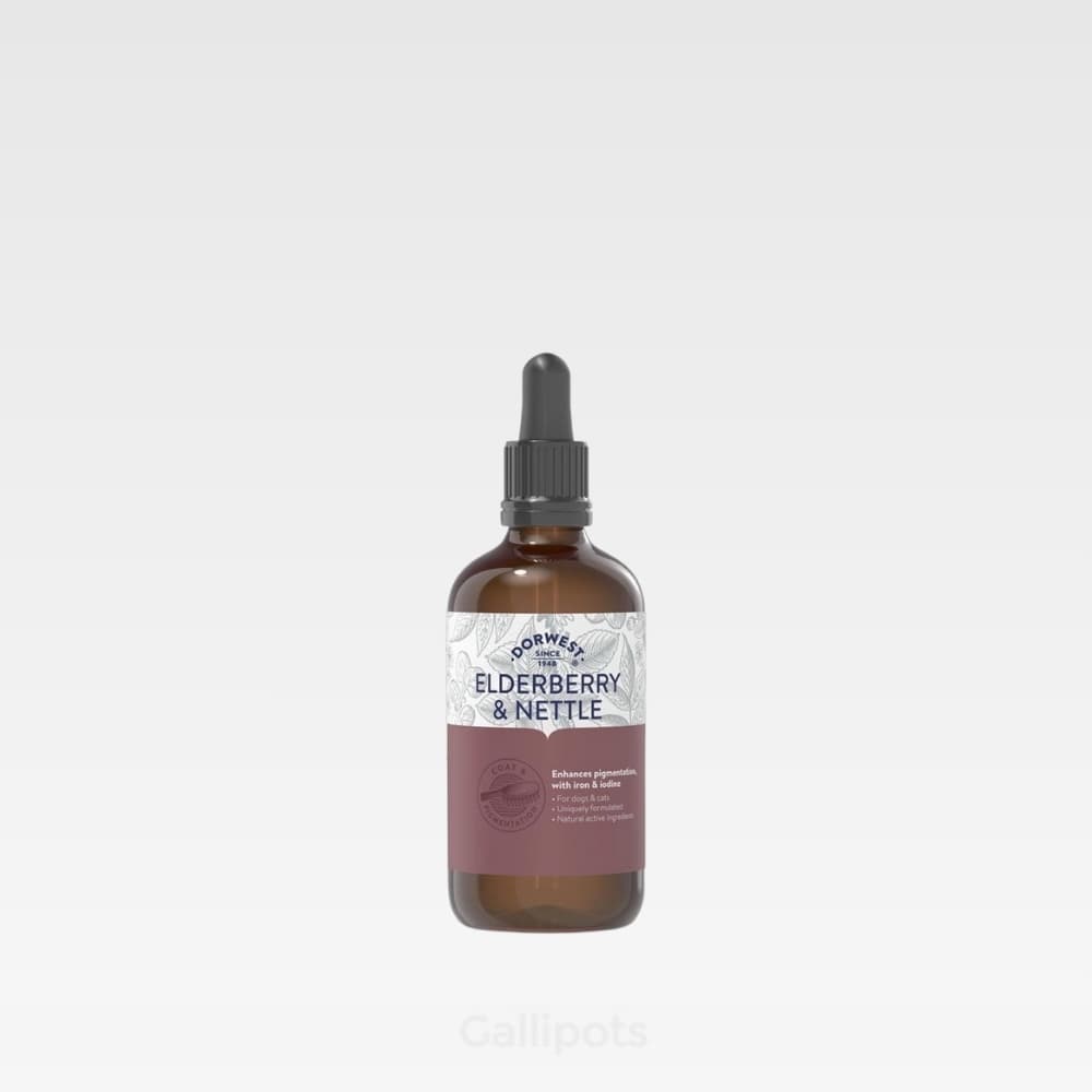Dorwest Elderberry & Nettle Extract - 100ml - Pet Supplements - Gallipots
