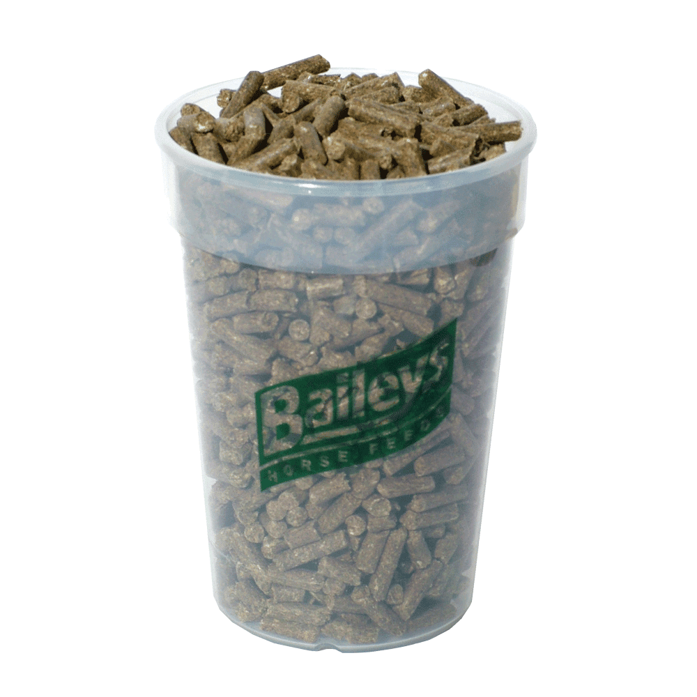 Baileys No.19 Performance Balancer 20kg