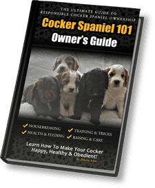 Cocker Spaniel: An Owner s Guide by Susan Hutchinson