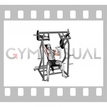 Lever Single Arm Shoulder Press (plate loaded) (VERSION 2) video