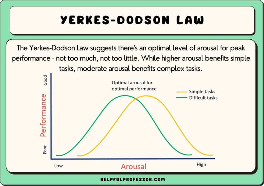 15 Yerkes-Dodson Law Examples (2024)