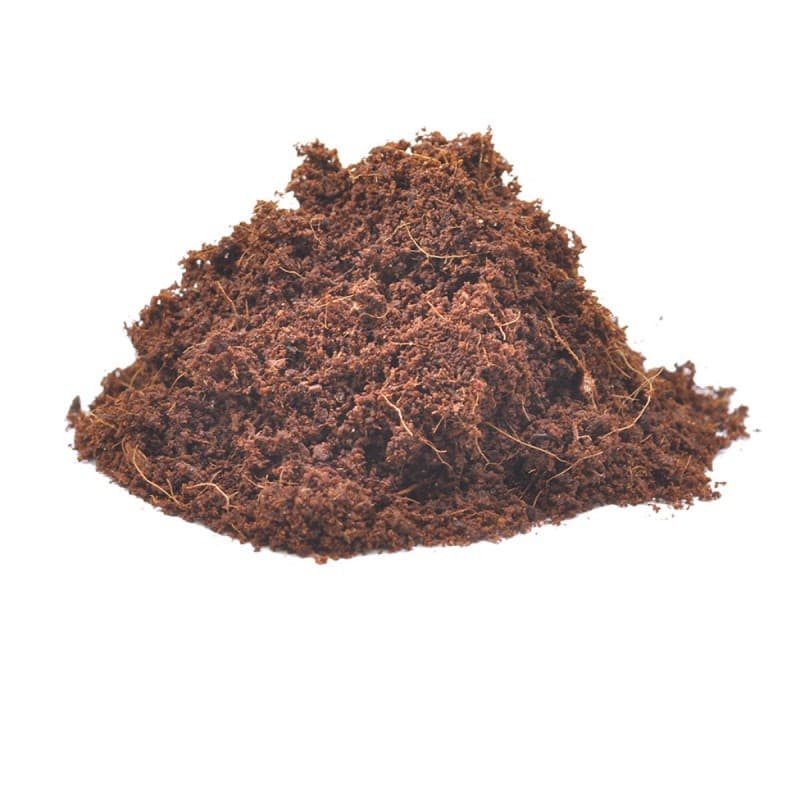 Substrato 100% Fibra di cocco per terrari, rettili, insetti, gatti ...