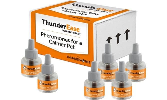 Best Pheromone Diffusers for Dogs | 2026 Calming Guide