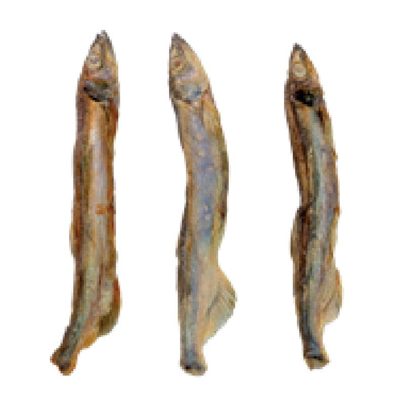 Freeze-Dried Fish Cat Treats - HsViko Pet Supplements