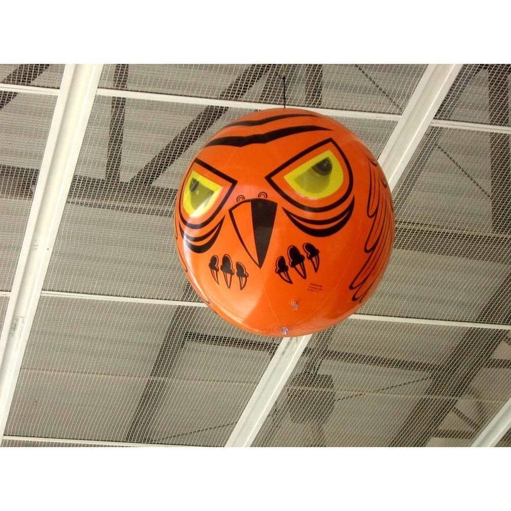 Bird-X Terror-eyes Inflatable Bird Scare With Realistic Holographic ...