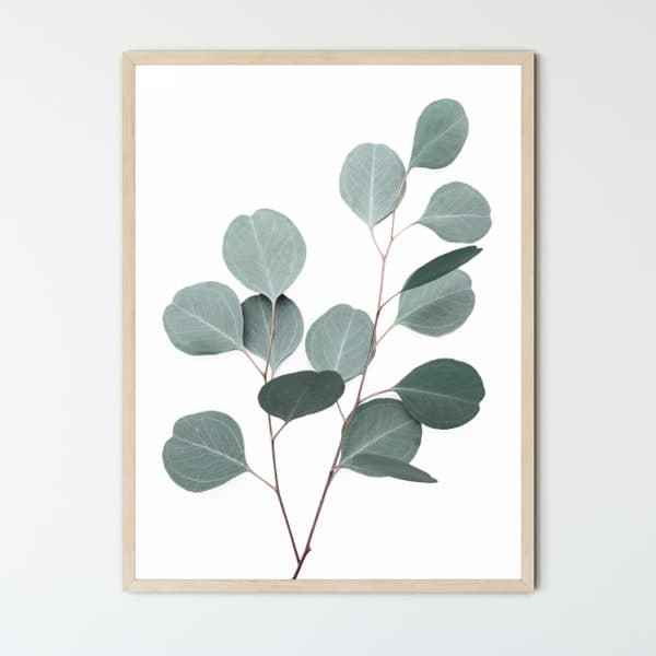 Framed Botanical Prints - Etsy