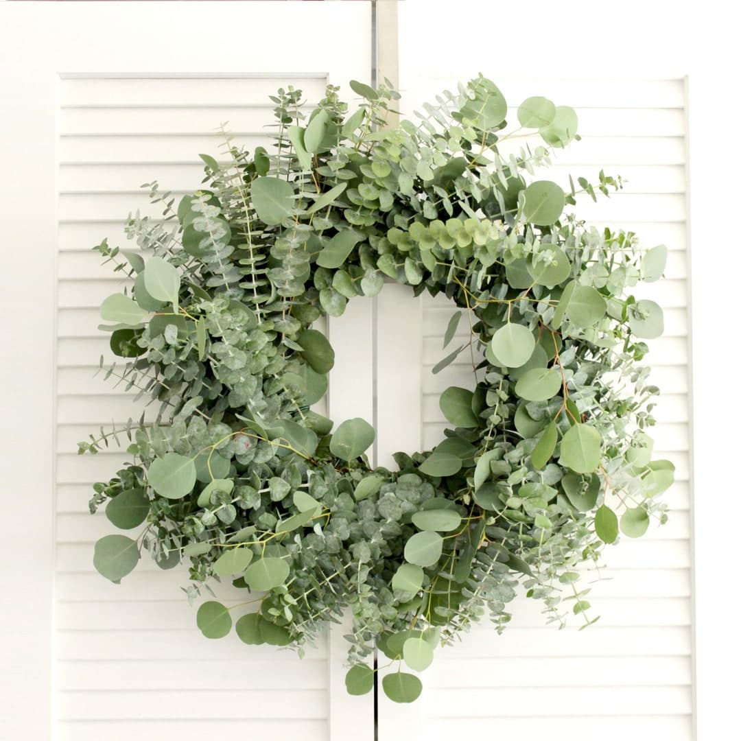 Living Eucalyptus Wreath - Fresh Cut Greenery Wreath for Fall Front ...