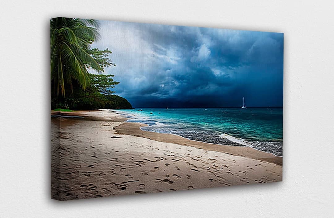 Tropical Beach Palm Trees Canvas Print Set