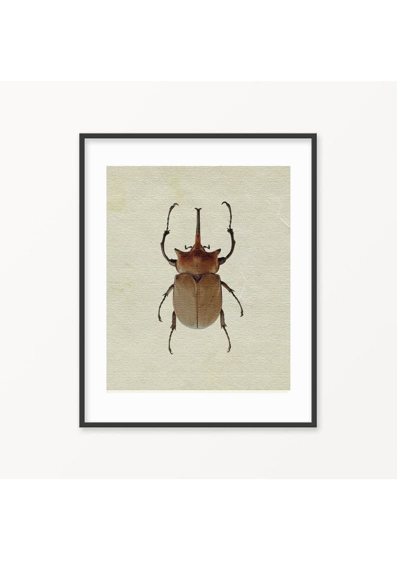 Beetle Print, Insect Print, Bugs Printable, Bugs Print, Bugs Art, Bugs ...