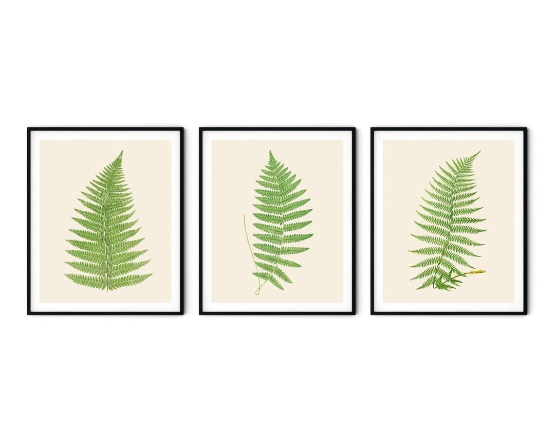 The Range Green Fern Framed Print Set of 3
