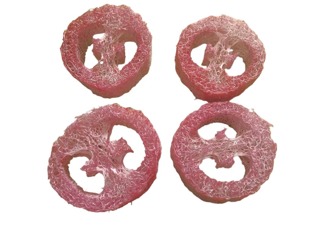 Flavored Loofah Treat - Small Animal Chew Toy (4 Pack) - Etsy UK