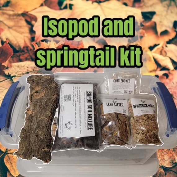 Isopod and Springtail Culture Starter Kit All in One 2 | Etsy