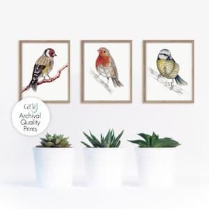 British Garden Birds Set of 3 Art Prints, Robin Print, Blue Tit ...