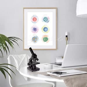 Meningitis Causing Virus Collection, Virology Art, Science Watercolor ...