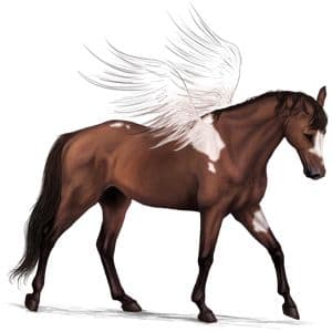 Pegasus Tennessee Walker Horse