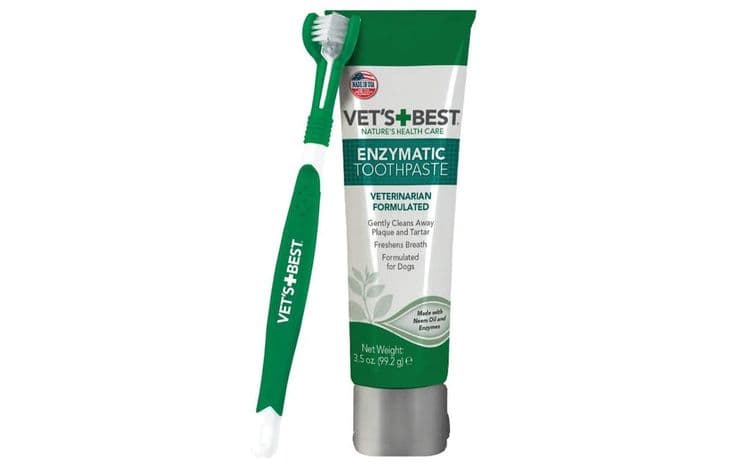 Vet's Best Enzymatic Dog Toothpaste + Toothbrush