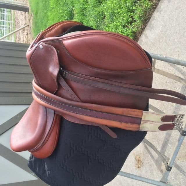 Collegiate Convertible Close Contact Alumni 17.5 Saddle | Horse tack ...