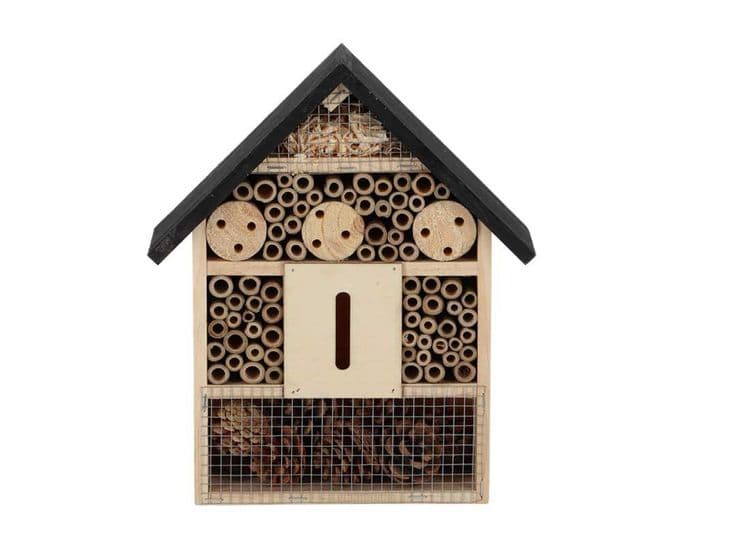 Fallen Fruits Insect House