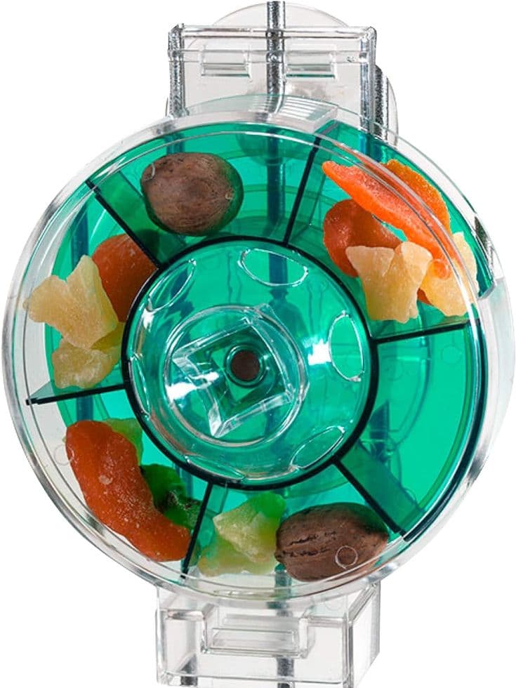 Generation II Large Foraging Wheel for Birds