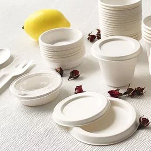 4oz Biodegradable Takeaway Bagasse Sauce Pots with Lids Eco-Friendly ...