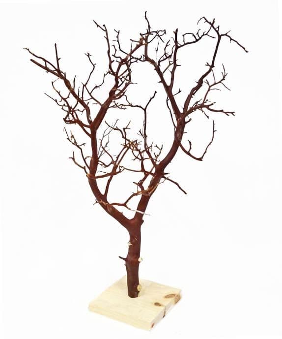 Zoo Med Manzanita Branches