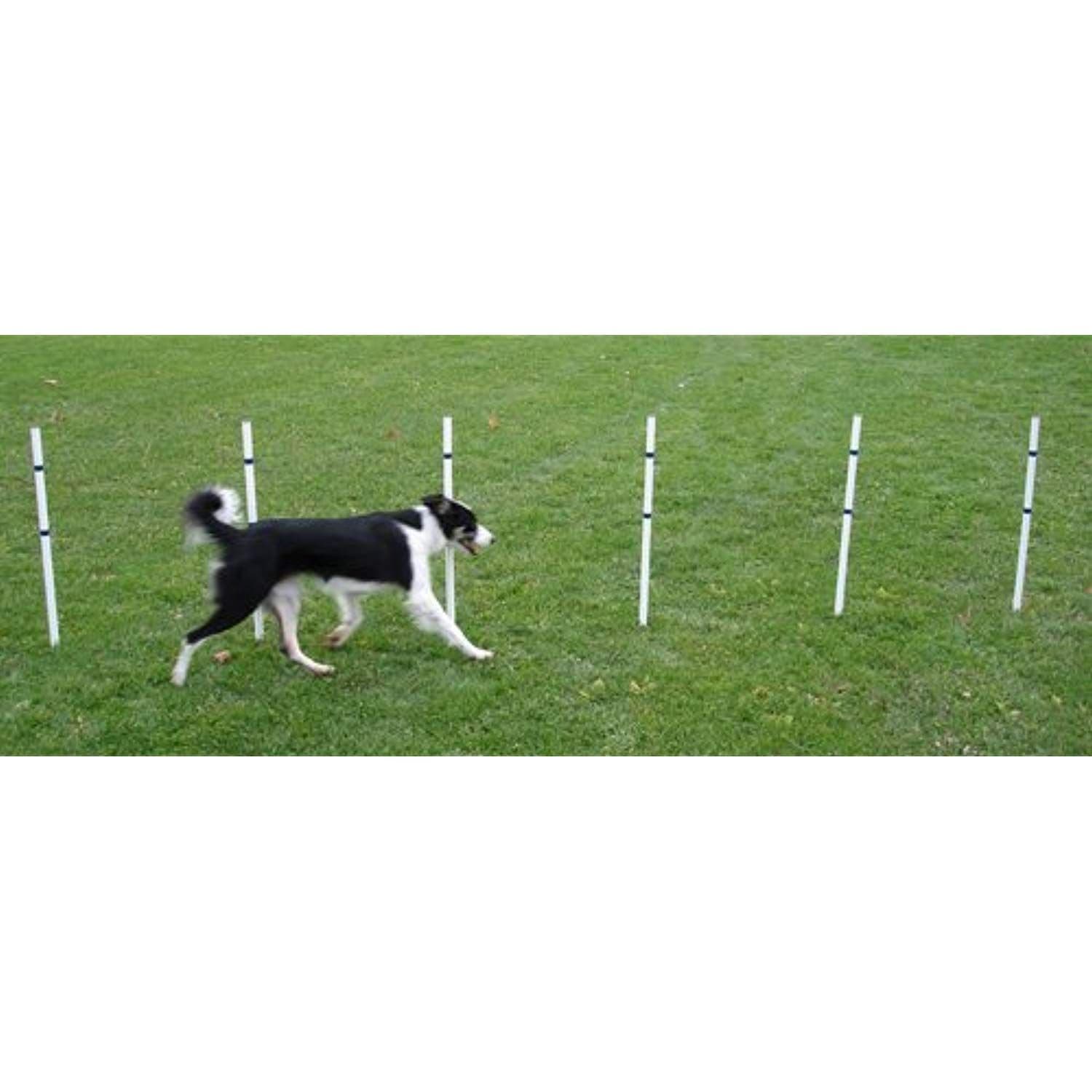 Affordable Agility Stick in The Ground 6 Pole Weave Set | Dog agility ...