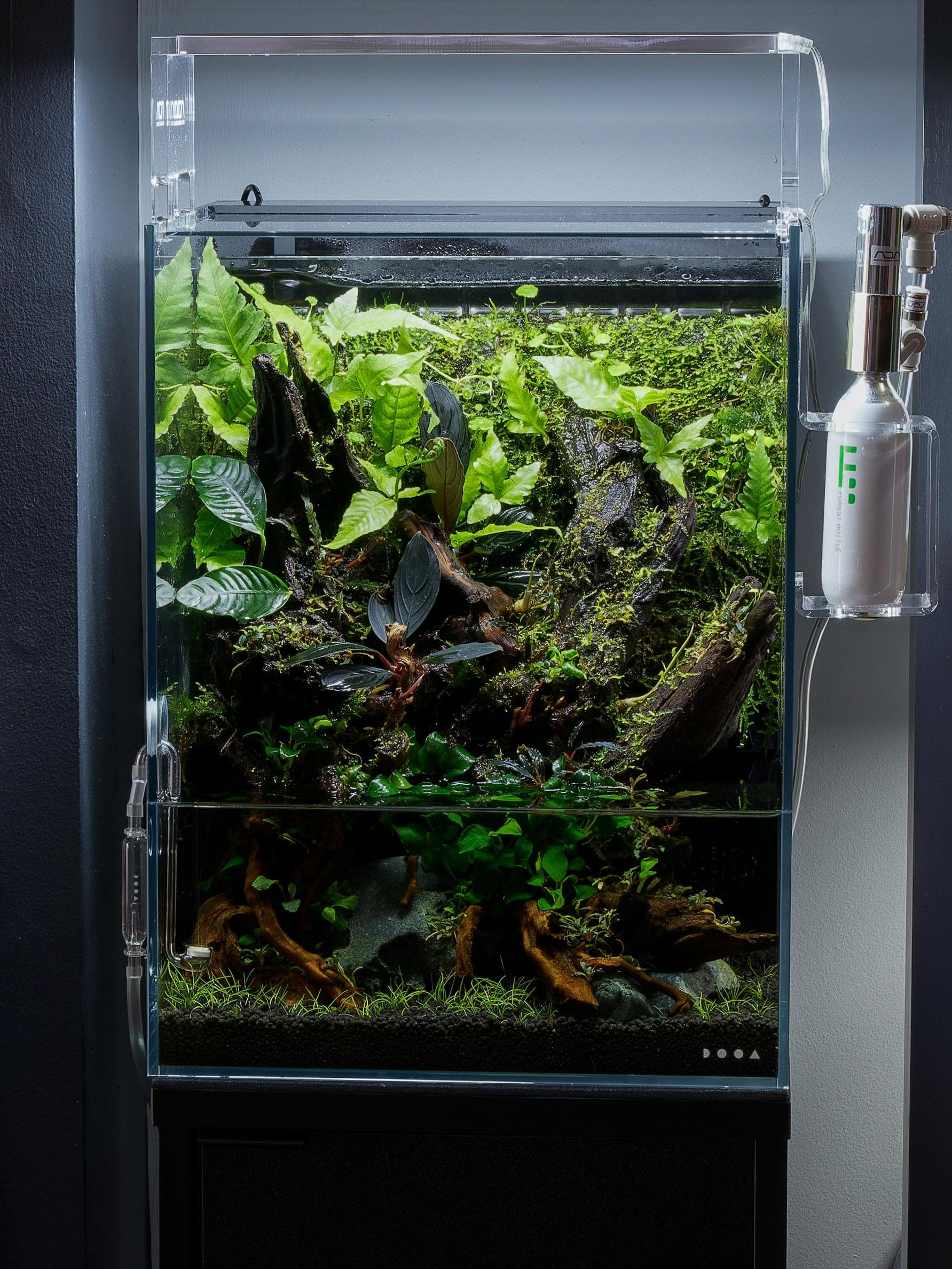 DOOA Paludarium