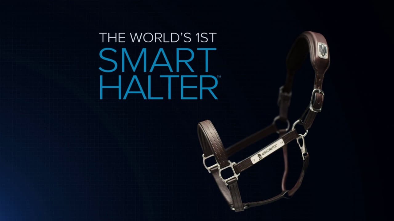 NIGHTWATCH - The World's First Smart Halter - YouTube