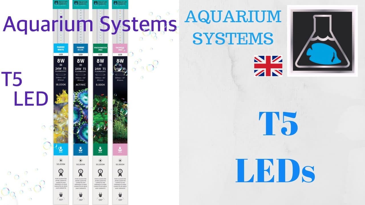 T5 LED by Aquarium Systems - YouTube