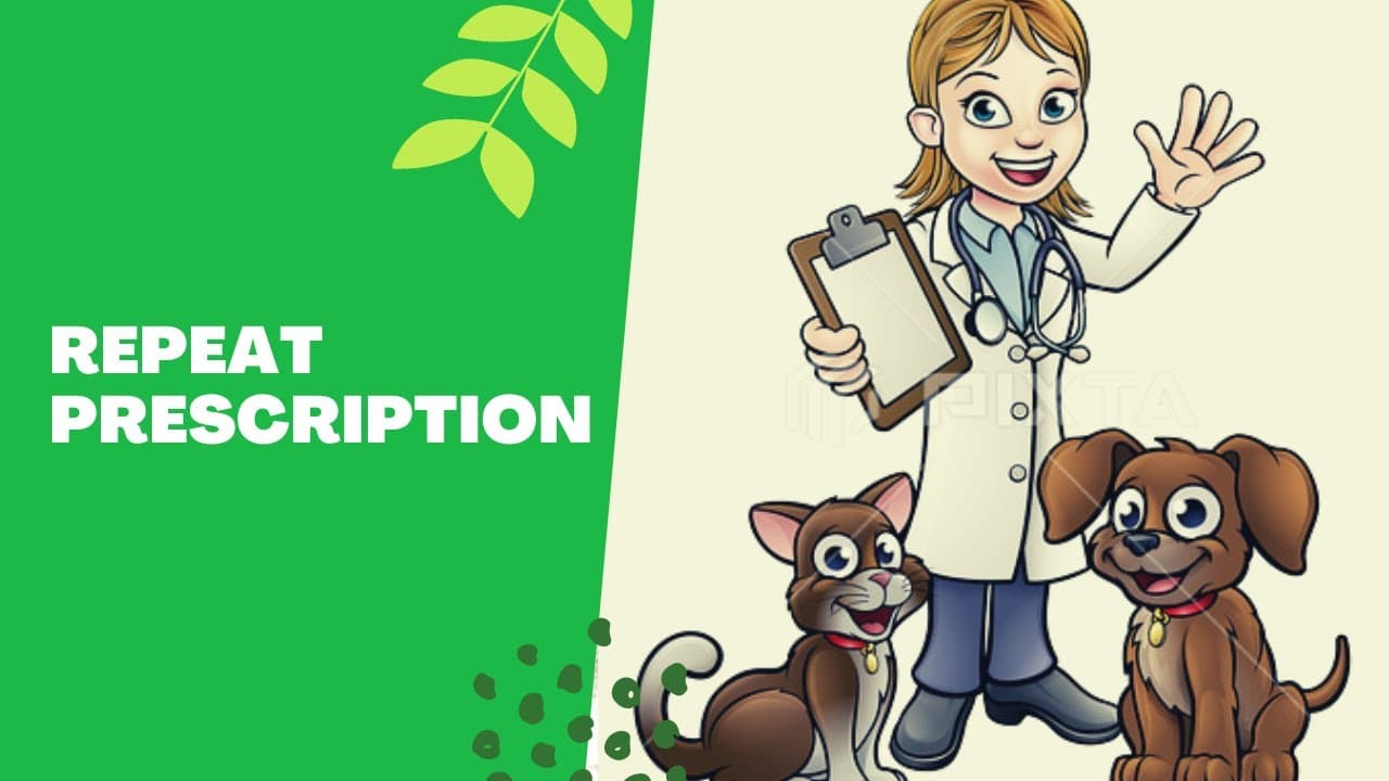 VET PHARMA 1 | Repeat Prescription Explained | Student Output - YouTube