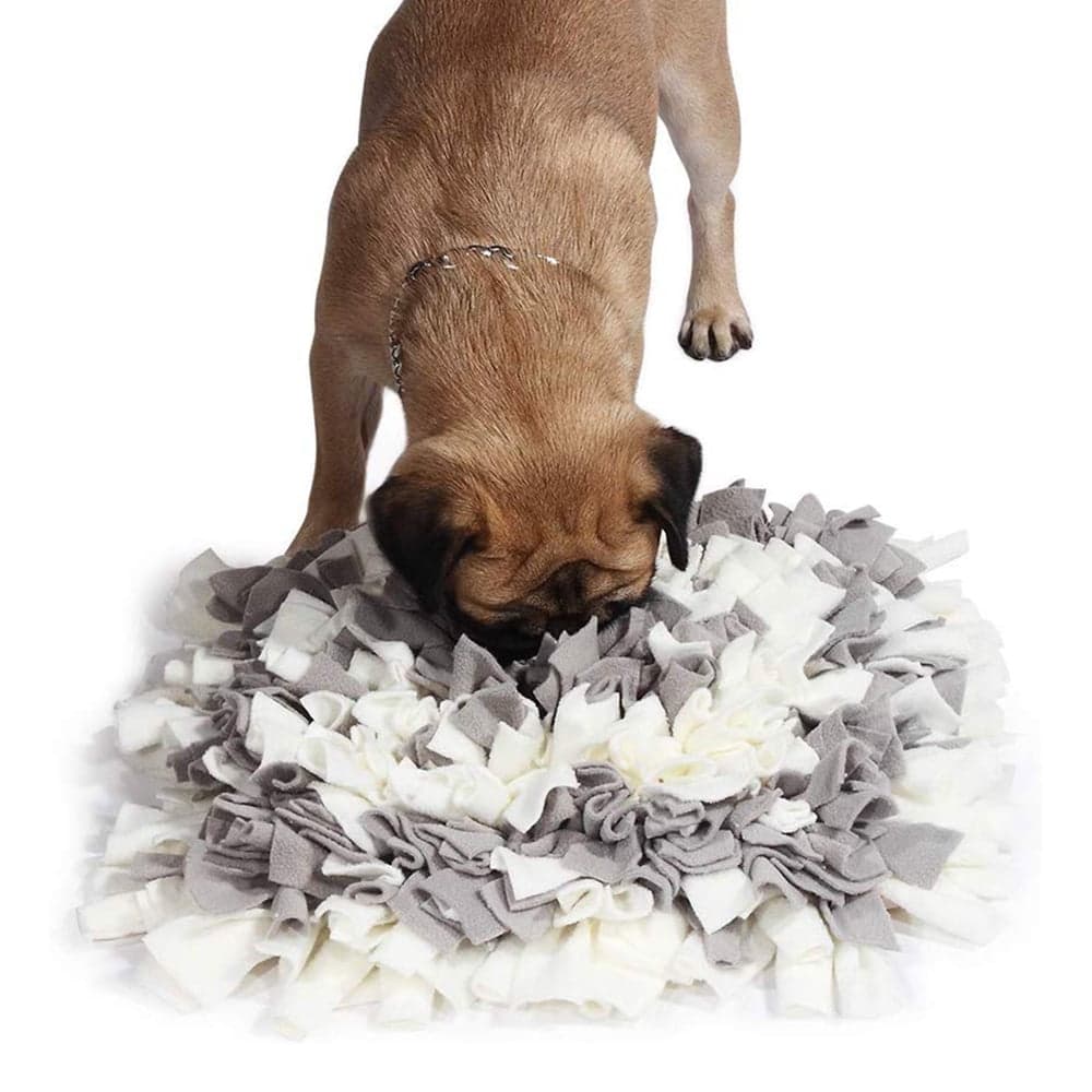 Are Snuffle Mats Safe For Dogs