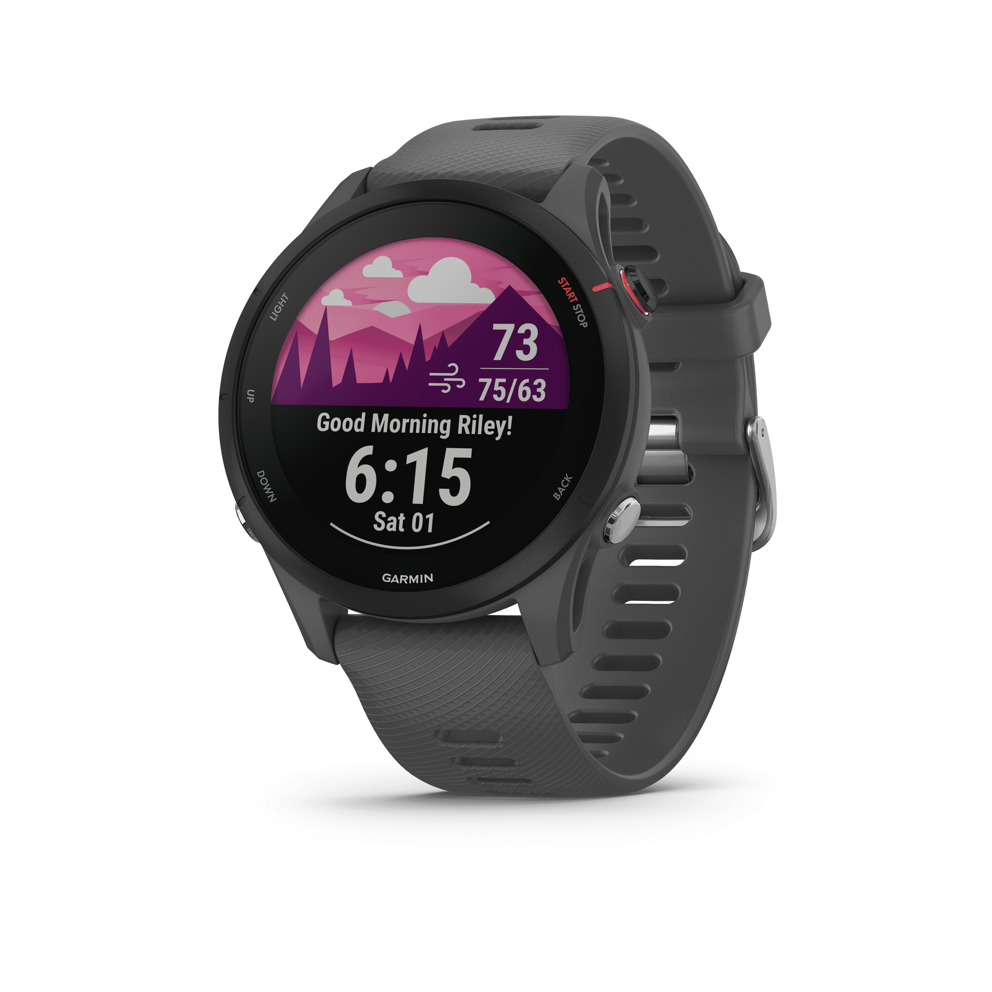Garmin Forerunner 255 Music Multisport GPS Smartwatch, Slate Gray ...