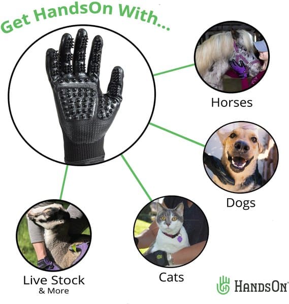 HANDSON All-In-One Pet Bathing & Grooming Gloves, Black, Small - Chewy.com