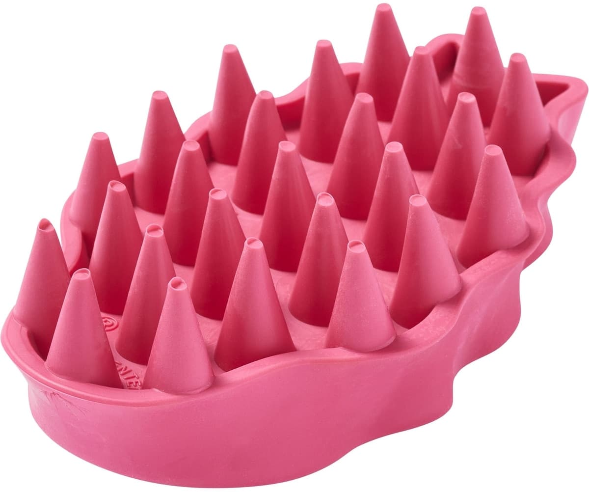 KONG Dog ZoomGroom Multi-Use Brush, Raspberry - Chewy.com