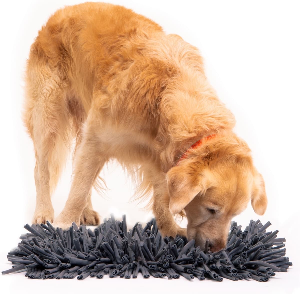 PAW5 Wooly Snuffle Dog Feeding Mat - Chewy.com