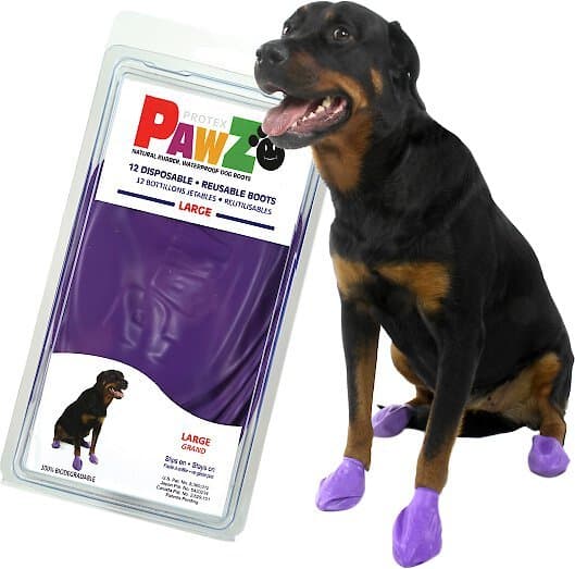 PAWZ Waterproof Dog Boots, 12 count, Purple, Large - Chewy.com