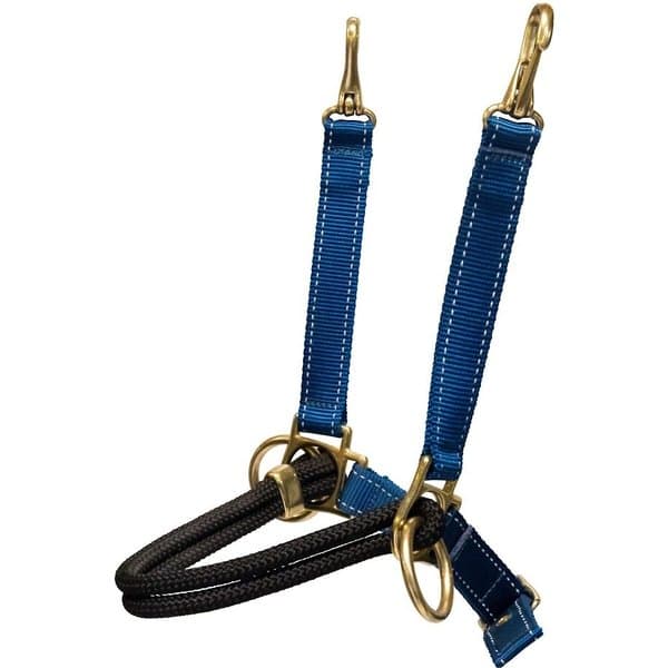KINCADE Two Tone Horse Lunge Line & Circle Marker, 36-ft, Purple/Black ...