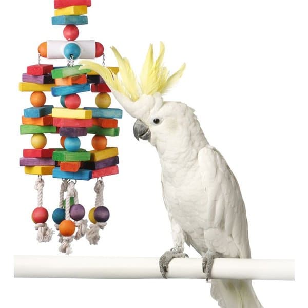 SUPER BIRD CREATIONS Rainbow Bridge Bird Toy, Large/X-Large - Chewy.com
