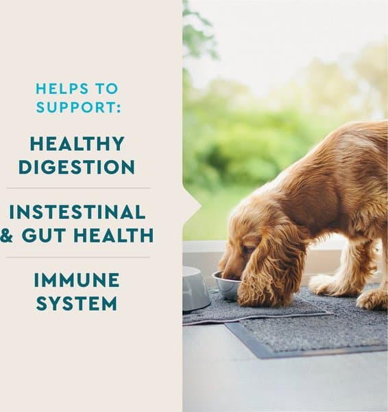 VetIQ Healthy Bites Probiotic Soft Chews for Dogs