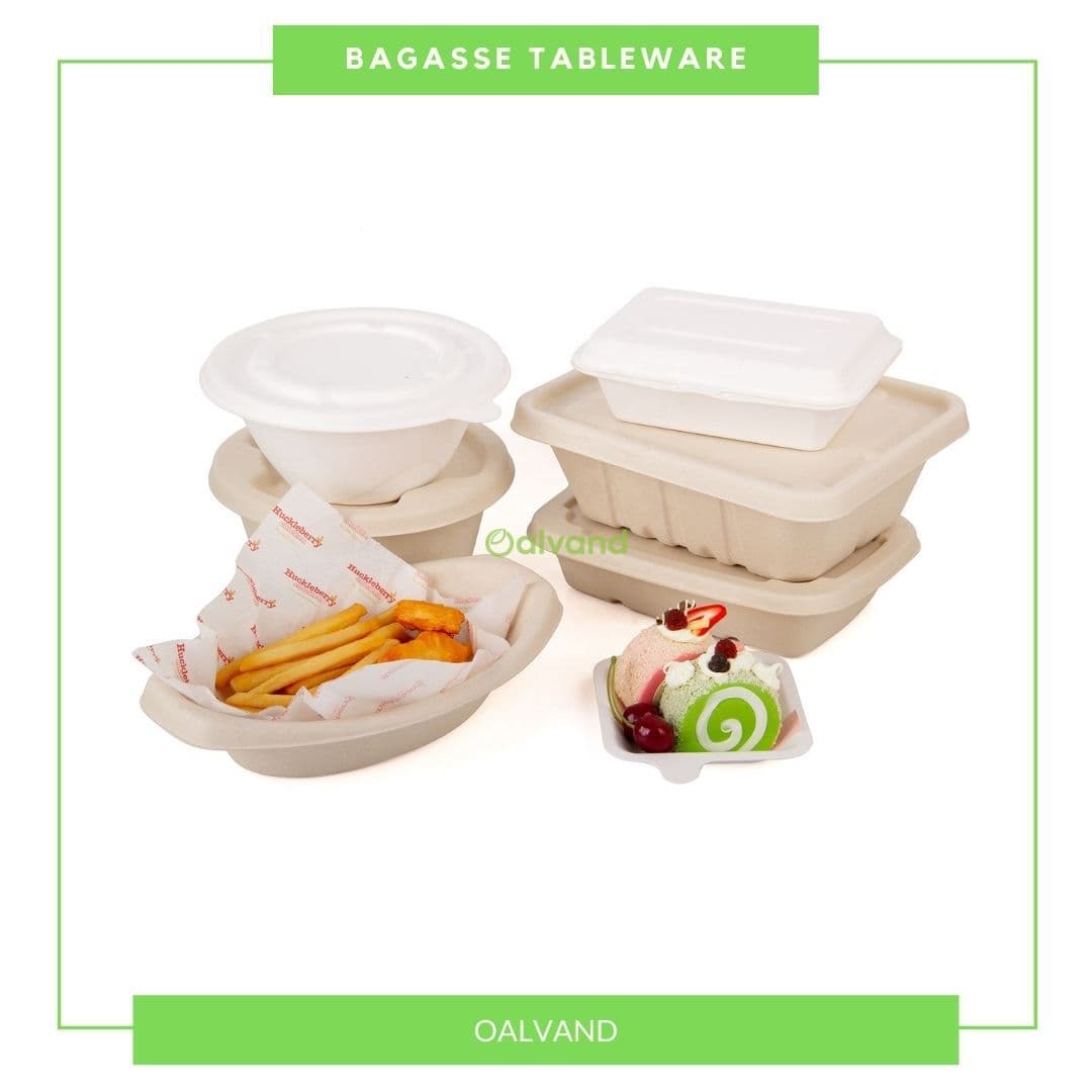 Biodegradable Eco-Friendly Sugarcane Bagasse Takeaway Tableware ...