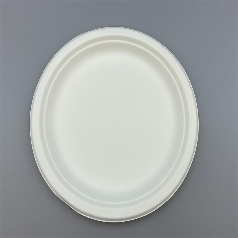 100% Bagasse Fiber Compostable Disposable 9inch Round Plates ...